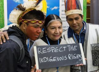 Indigenous groups warn Paris accord imperiled by deforestation
