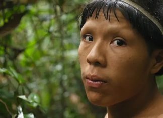 Forced From Rainforest, Peruvian Tribe Faces New Woes in Lima Slum