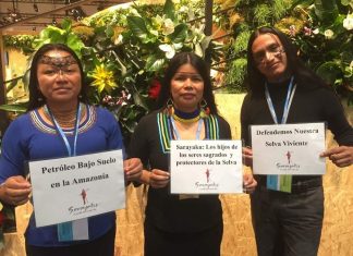 Amazonian Leaders Promote Vision for “Living Forests” at the Climate Change Conference