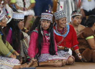Pope Francis calls for church with ‘Amazonian and indigenous’ face
