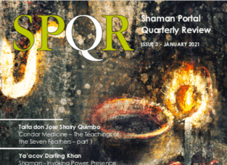 ShamanPortal Quarterly Review vol.3