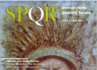 ShamanPortal Quarterly Review vol. 4