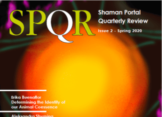 ShamanPortal Quarterly Review vol.2