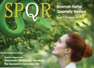 ShamanPortal Quarterly Review – vol.1