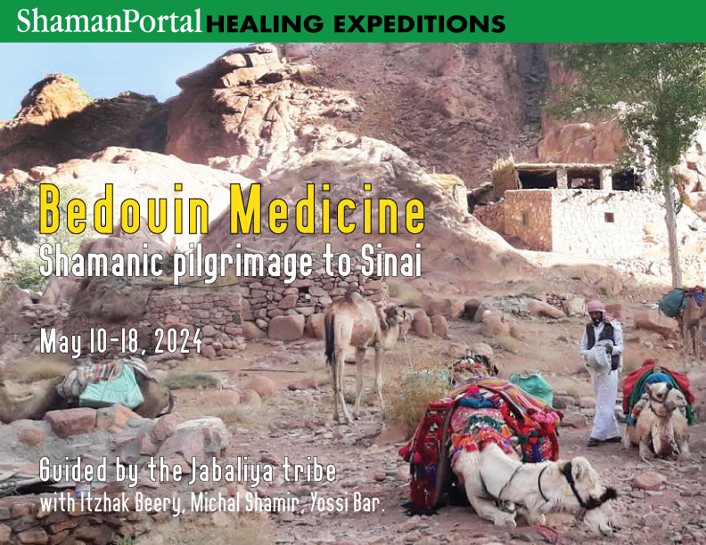 Bedouin Medicine: Shamanic pilgrimage to the Sinai desert Mountains ...