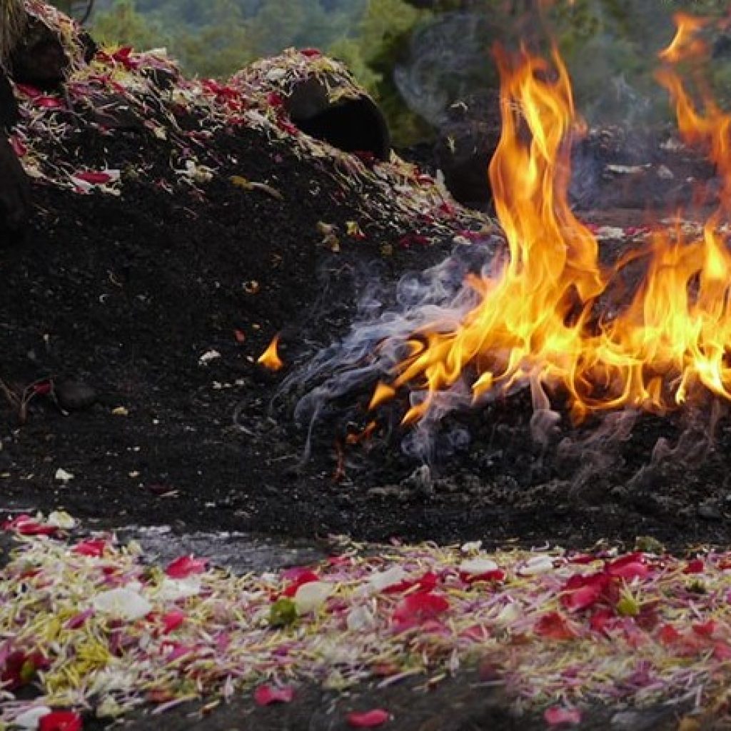 SHAMANIC EXPERIENCES HEARTH HEALING CIRCLES - Monthly 2024 - Shaman Portal