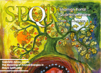 ShamanPortal Quarterly Review vol. 6