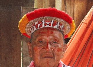 Don Cesario Payaguaje