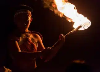 THE MYSTERIOUS TSOU SHAMAN: THE GUARDIAN OF TRADITIONAL CULTURE