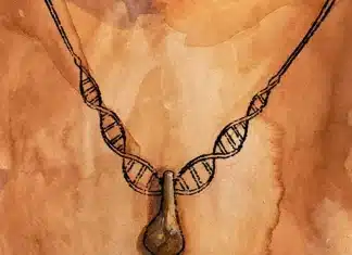 Recovery of ancient DNA identifies 20,000-year-old pendant’s owner