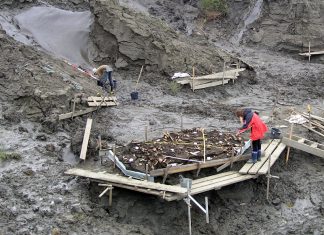 Closest-known ancestor of today’s Native Americans found in Siberia