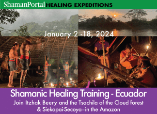 Shamanic Healing Training- Ecuador: Andes Cloud Forest & Amazon Medicine
