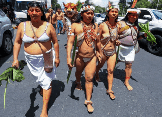 Ecuadorians vote to halt oil drilling in biodiverse Amazonian national parks