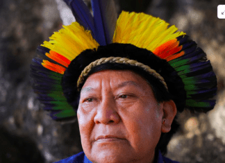 Davi Kopenawa, Yanomami leader and shaman