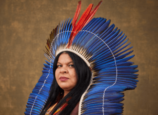 Brazil’s first-ever minister for Indigenous peoples: ‘It is time for the world to look at our way of life’
