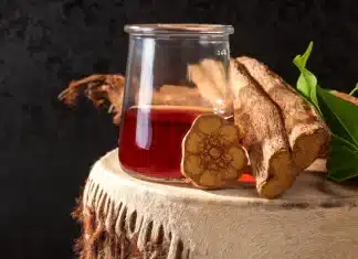 The Spiritual Effects of Ceremonial Ayahuasca