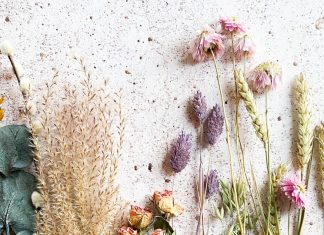 When Herbal Medicine Becomes Mainstream