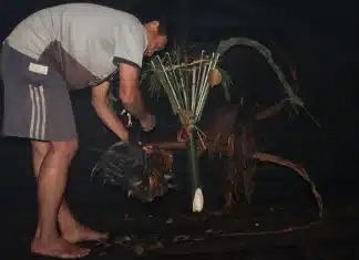 How can we better understand healing rituals in ethnic communities?