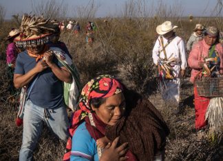 A Mysterious Murder in the Peyote Guardians’ Sacred Desert