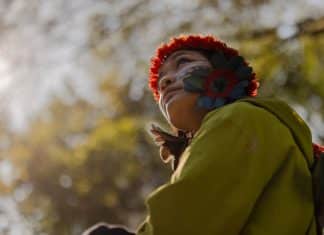 ‘Our world hangs by a thread’: Indigenous activist asks US agri giant to stop destroying Amazon rainforest