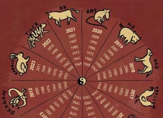 Chinese Horoscope for October 2023: Here is the monthly prediction for your animal sign