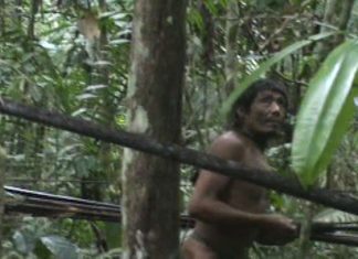 Ten years on: uncontacted tribe in danger as land protection stalls