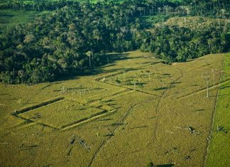 More than 10,000 Pre-Columbian Earthworks Remain Hidden in the Amazon