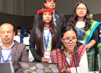 Indigenous Leaders Demand Inclusion in Global Climate Change Fund