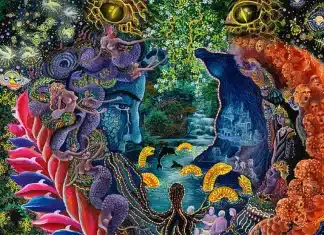 Four Million People Have Now Taken Ayahuasca Worldwide