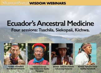 Ecuador’s Ancestral Medicine – Four Shamans: Tsachila, Siekopaii, and Kichwa. Shaman Portal Wisdom Webinars presents an exciting and culturally enriching series, continuing our commitment to supporting and spreading indigenous wisdomkeepers, and their practices worldwide. It will feature four indigenous elders from different tribes in Ecuador.