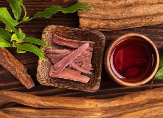 Could the psychedelic brew ayahuasca be good for your mental health?