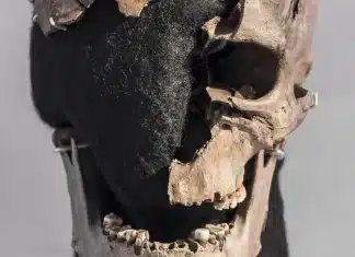 Ancient DNA analysis shows how Scandinavia’s first farmers wiped out hunter-gatherer population "Vittrup Man" was first discovered in northern Denmark in 1915.