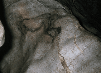 How Shamanism became England’s fastest-growing religion In the Cave of the Trois-Frères, France, there lies a rather unusual painting of a dancing bearded man with two thick antlers and a bushy tail. Estimated to be 14,000 years old, “The Sorcerer” is thought to depict a Shaman performing a ritual to ensure a good hunt.