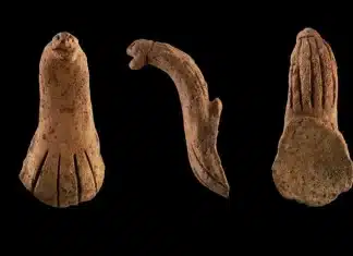 Snake artifact used in shamanic rituals 4,000 years ago, archaeologists say Archaeologists in Taiwan unearthed a snake-shaped artifact likely used in ancient religious rituals. The serpentine object, which dates back some 4,000 years, was discovered last year in Taoyuan City, about 30 miles west of Taipei, according to a Feb. 9 news release from the National Tsing Hua University’s archaeology department.