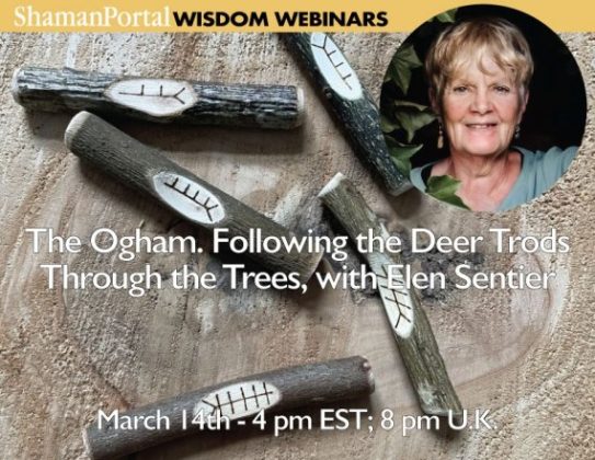 The Ogham - Following the Deer Trods through the trees with Elen Sentier