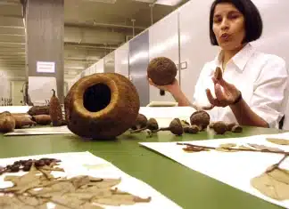 The Largest Herbarium in Brazil’s Amazon Is Under Threat Everyone in the building had left for lunch when the largest herbarium in the Brazilian Amazon caught fire.