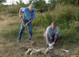 Western science beginning to catch up to what Indigenous history has always known A very, very old mammoth tusk found near a road-widening project, for State Route 54 near National City in the early 1990s, set off considerable controversy among scientists. When a group of archeology, paleontology, and geology specialists (including those from the San Diego Natural History Museum) authored an article in the journal Nature in 2017 arguing proof of human existence in the Americas as far back as 130,000 years ago, it was a shock to convention — Western convention, anyway.