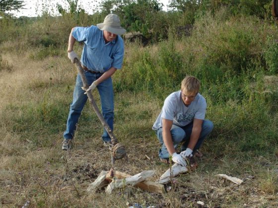 A very, very old mammoth tusk found near a road-widening project, for State Route 54 near National City in the early 1990s, set off considerable controversy among scientists. When a group of archeology, paleontology, and geology specialists (including those from the San Diego Natural History Museum) authored an article in the journal Nature in 2017 arguing proof of human existence in the Americas as far back as 130,000 years ago, it was a shock to convention — Western convention, anyway.