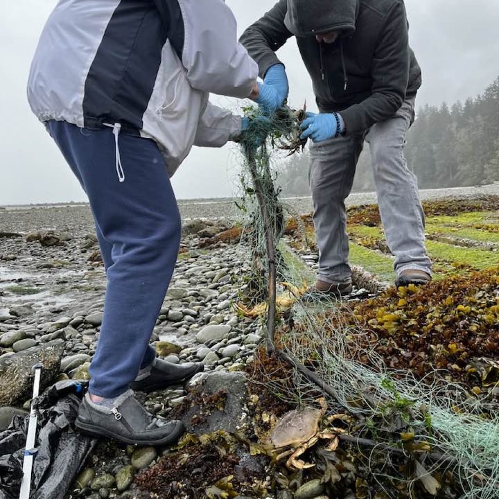 Pillar Point County Park is adjacent to the Highway 112 National Scenic Byway 35-miles west of Port Angeles on the Olympic Peninsula in Washington State. Once you arrive you will feel the soft breeze blowing off the water and hear the sounds of nature’s shorebirds and bald eagles.