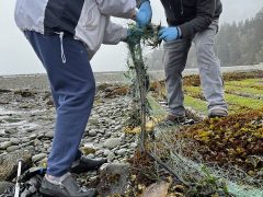 Pillar Point County Park is adjacent to the Highway 112 National Scenic Byway 35-miles west of Port Angeles on the Olympic Peninsula in Washington State. Once you arrive you will feel the soft breeze blowing off the water and hear the sounds of nature’s shorebirds and bald eagles.