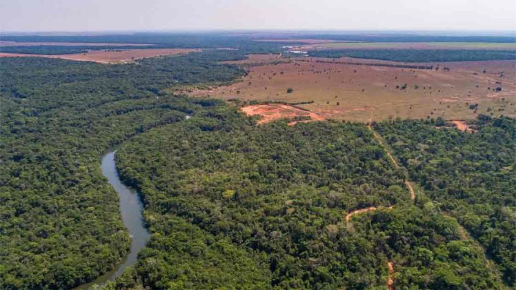 A fascinating body of research has revealed how intimately our ancestors were connected to the earth – specifically, ancient Amazonians, who intentionally created a fertile dark earth or ‘terra preta’. The study has found that despite the highly acidic and low nutritional content of the Amazonian soil for agricultural purposes, ancient humans intentionally modified the environment around former human settlements to allow their expansion.