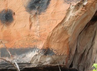 2,000-year-old carvings of celestial bodies and animals discovered on rocky cliffs in Brazil 2,000-year-old carvings of celestial bodies and animals discovered on rocky cliffs in Brazil