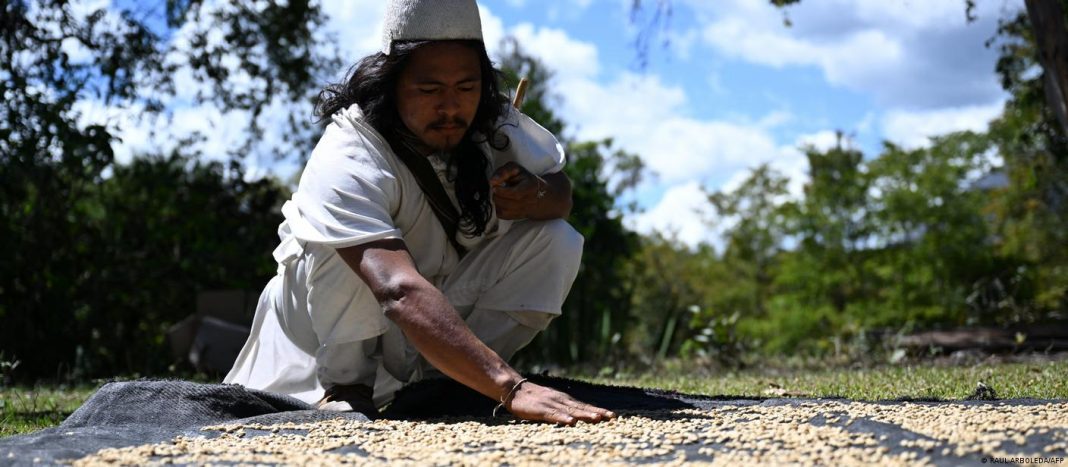 Extreme weather affecting farming