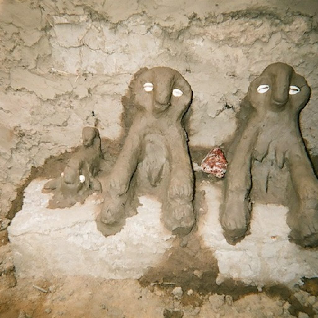 The East Coast Village in Cherry Plain, NY, is an inclusive and diverse community that honors our connection to the Ancestors and Nature. We are dedicated to empowering people through the practices of indigenous African spirit technologies as brought to the West by Dagara Elder, Dr. Malidoma Somé.