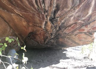In Australia, Song Has Power Yidumduma Bill Harney, Elder of the Wardaman tribe, at Gandawokja rock, Northern Territory, Australia. (Lydia Wilson)