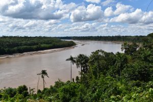 The Madre de Dios River observed from the Harakbut Indigenous community in the Amarakaeri Communal Reserve buffer zone. Image courtesy of Amarakaeri.org.