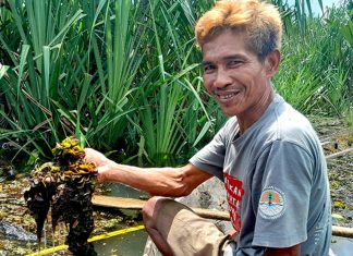 Indigenous community fights to save its lands on Indonesia’s historic tin island