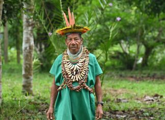 Envious shamans and pollution: Diverse threats to Ecuadoran Amazon Faced with dwindling fish numbers, Indigenous Ecuadorans look to the spirit world for help © Daniel MUNOZ / AFP