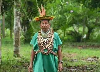 Envious shamans and pollution: Diverse threats to Ecuadoran Amazon Faced with dwindling fish numbers, Indigenous Ecuadorans look to the spirit world for help © Daniel MUNOZ / AFP