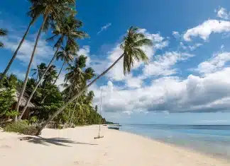 Siquijor: A paradise island with a reputation for witchcraft Siquijor is known as "Mystic Island" due to its healers and therapies (Credit: Simon Urwin)